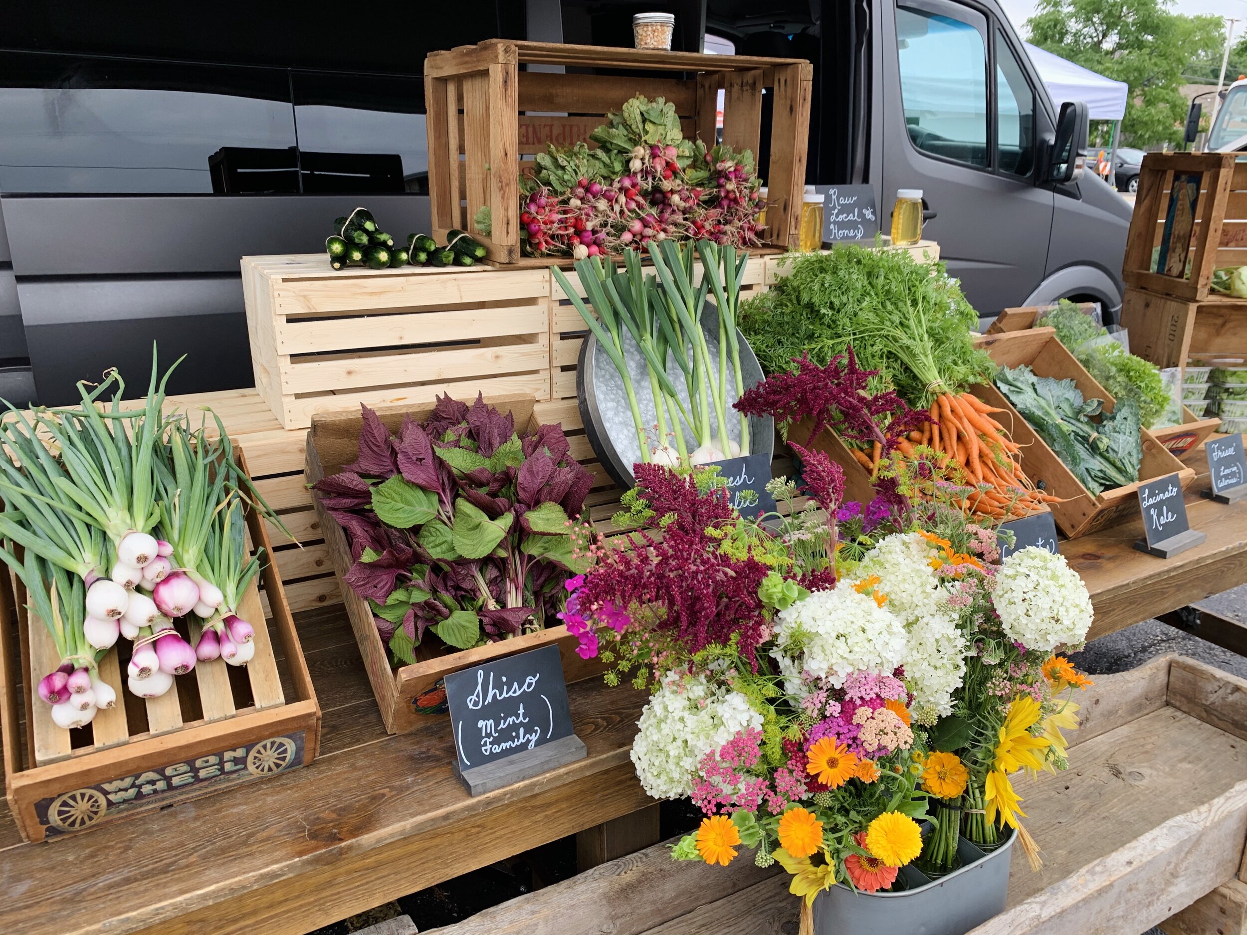 Fresh produce display at a farmers market featuring a variety of vegetables including radishes, carrots, kale, and zucchini, along with colorful flowers. Wooden crates and chalkboard signs highlight items like shiso and mint, creating a vibrant and inviting market atmosphere.