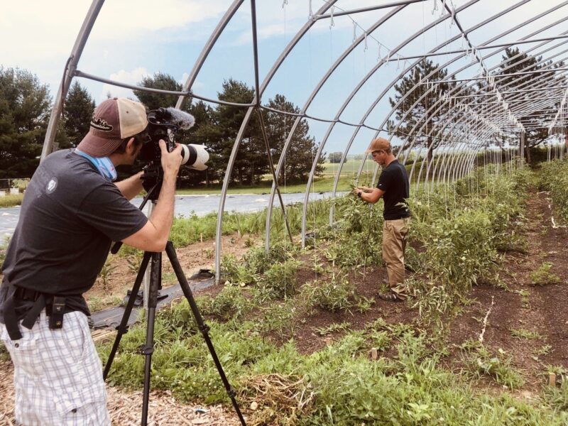A photographer captures footage of a farmer inspecting plants inside a greenhouse, surrounded by rows of greenery and natural light.