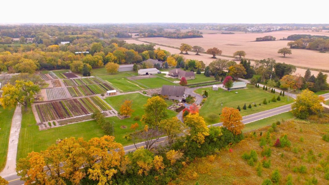 Aerial view of a rural farm with vibrant autumn foliage, featuring organized vegetable plots, several buildings, and expansive fields in the background.