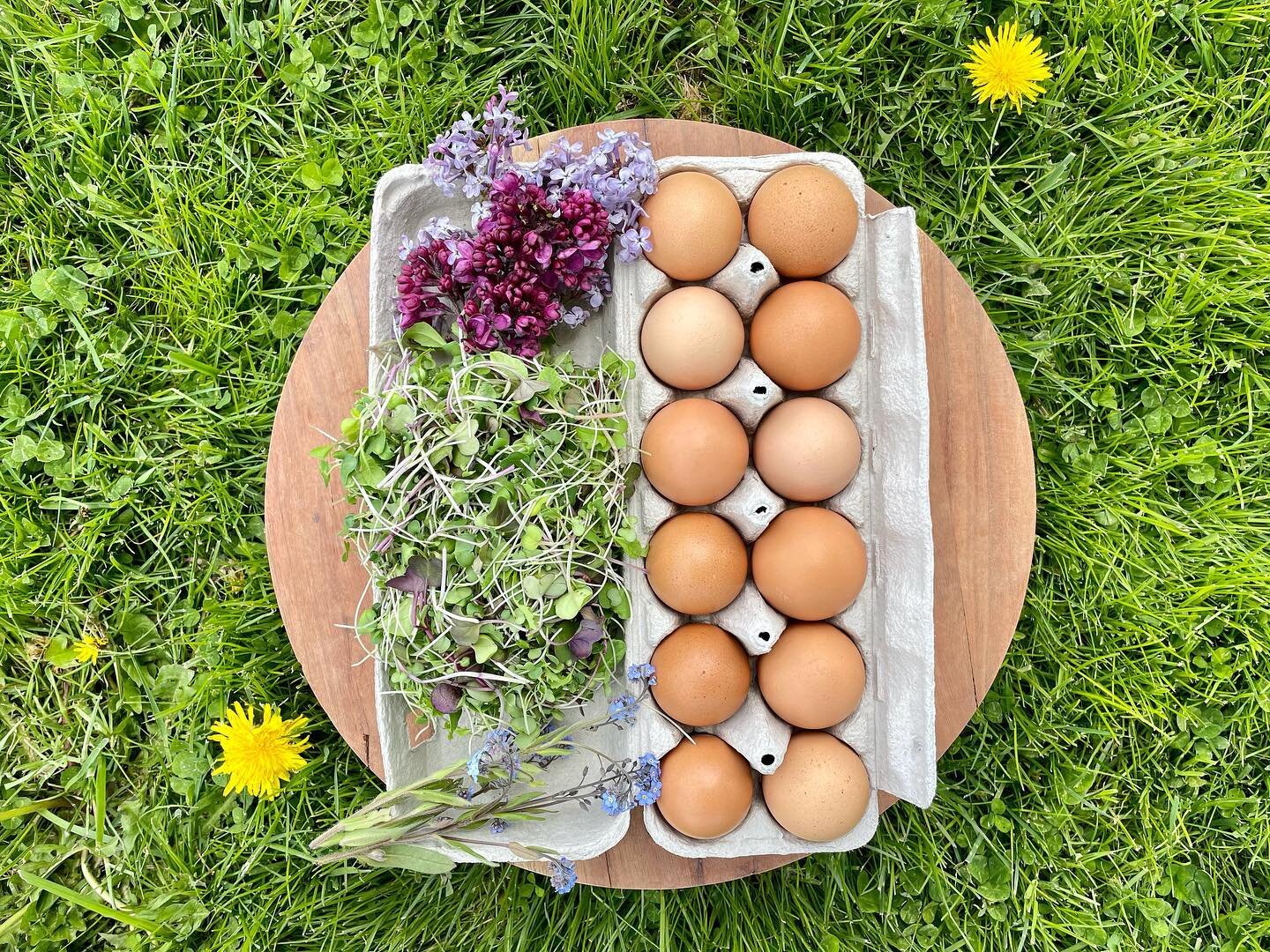 image-asset - 2026-07-23T084224.350 Fresh brown eggs arranged in a carton alongside vibrant edible flowers and microgreens on a wooden board, set against a lush green grass background.