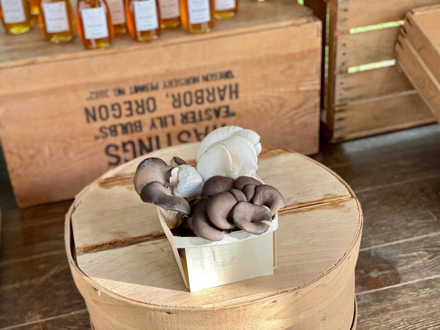 image-asset - 2026-07-23T084225.949 Freshly harvested gourmet mushrooms displayed in a wooden basket, set against a rustic backdrop of wooden crates and bottles. Perfect for culinary enthusiasts and healthy cooking.