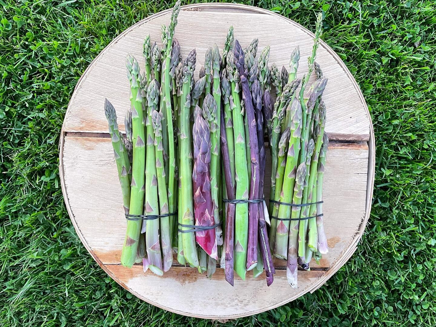 image-asset - 2026-07-23T084240.306 Freshly harvested green and purple asparagus bundles displayed on a wooden platter, surrounded by lush green grass, showcasing seasonal vegetables ideal for healthy eating and cooking.