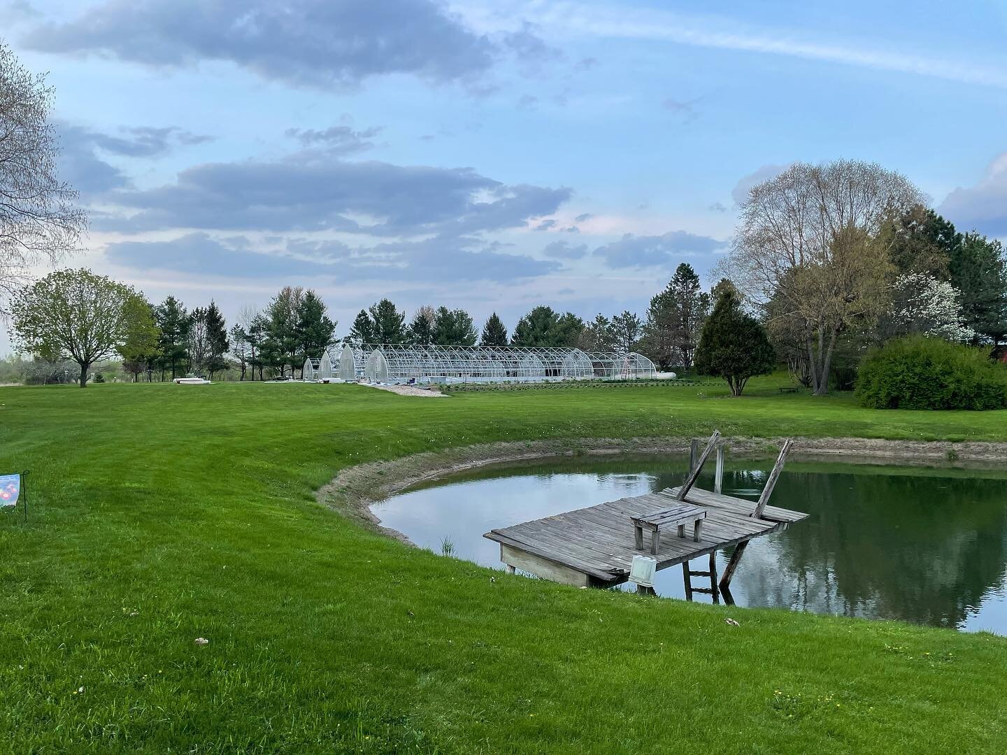 image-asset - 2026-07-23T084242.061 Scenic view of a green landscape featuring a calm pond and a wooden dock, with greenhouses visible in the background under a partly cloudy sky.